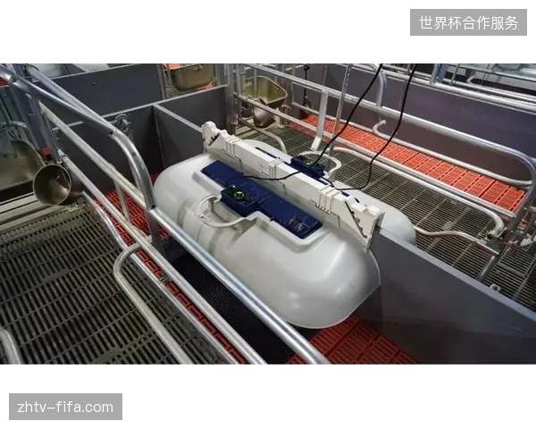 体育赛事运营转向全周期精细化管理，单点功能集成正式取代零散的服务外包模式